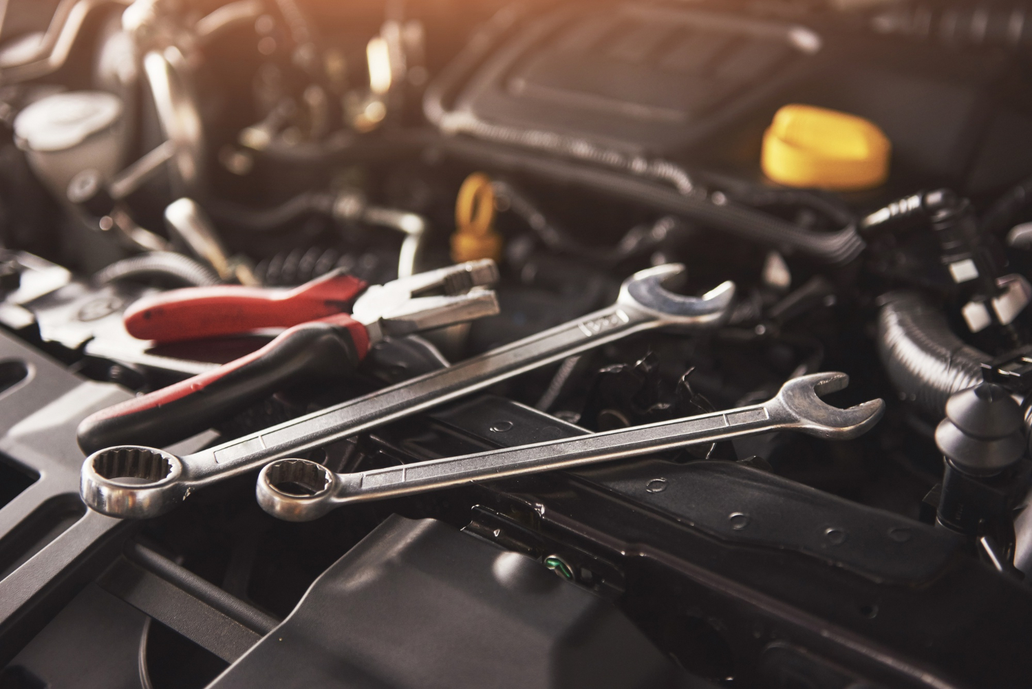 Reparatur & Service alle Marken